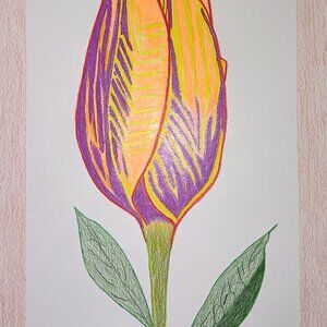 Art from behind the Incarcerated Walls!